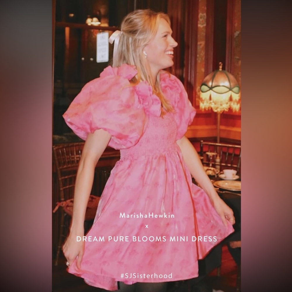 Sister Jane Dream Pink Dress with Roses Small & XS NWT